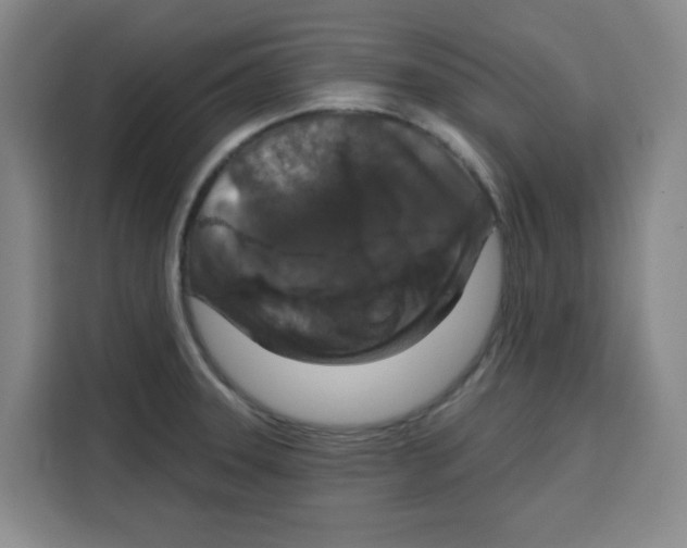 X0000115131331200911241438