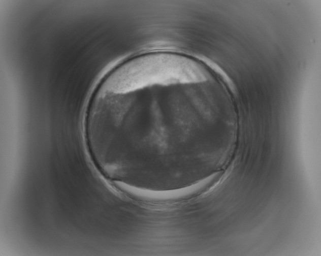 X0000115131333200911241438