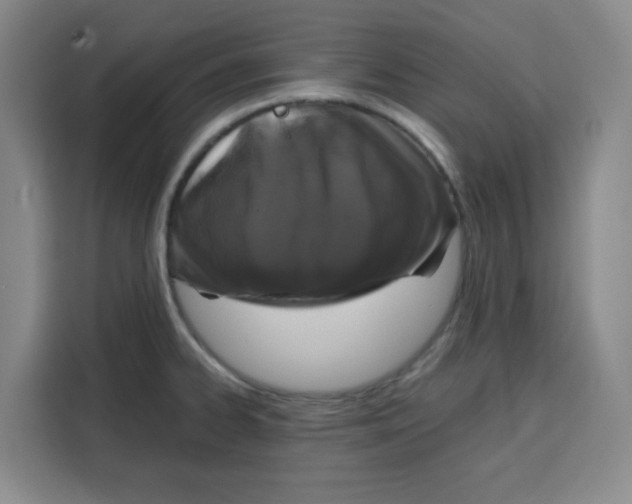 X0000115131334200911241438