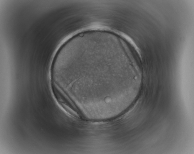 X0000115131335200911241438