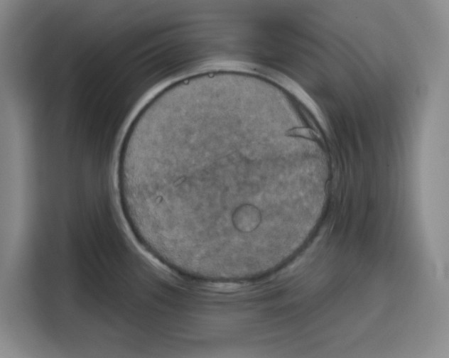 X0000115131339200911241438
