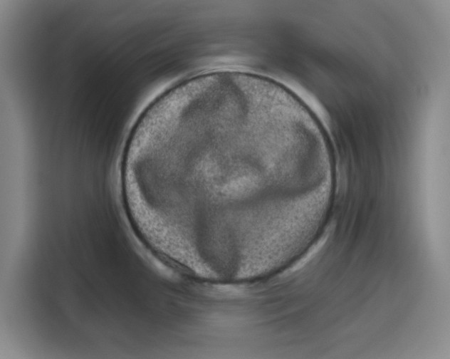 X0000115131341200911241438
