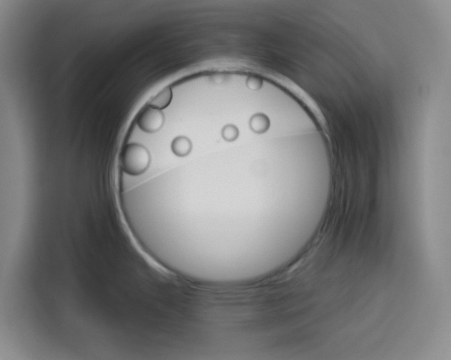 X0000115131343200911241438