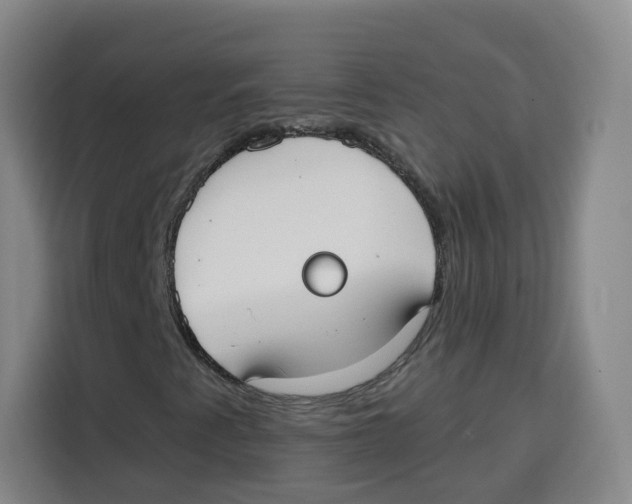 X0000115131345200911241437
