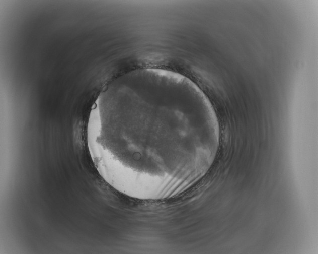 X0000115131346200911241437