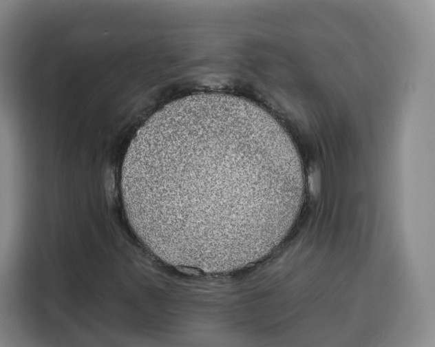 X0000115131347200911241437