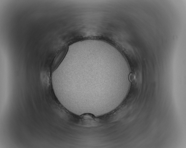 X0000115131348200911241437
