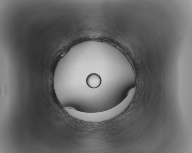 X0000115131349200911241437