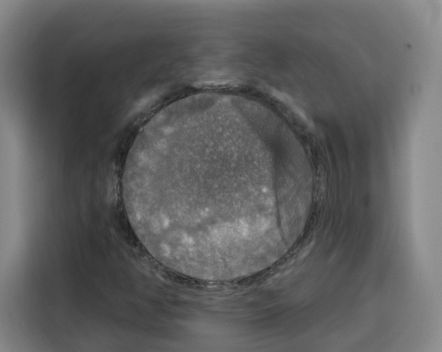 X0000115131350200911241437