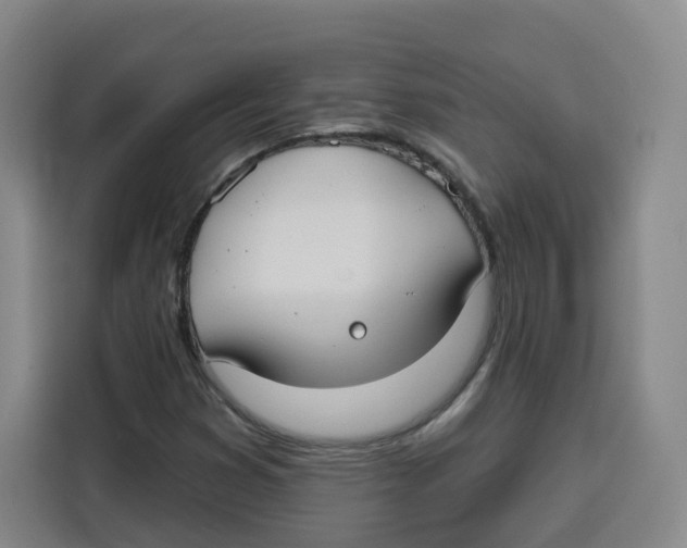 X0000115131353200911241437