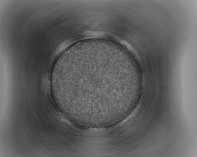 X0000115131354200911241437