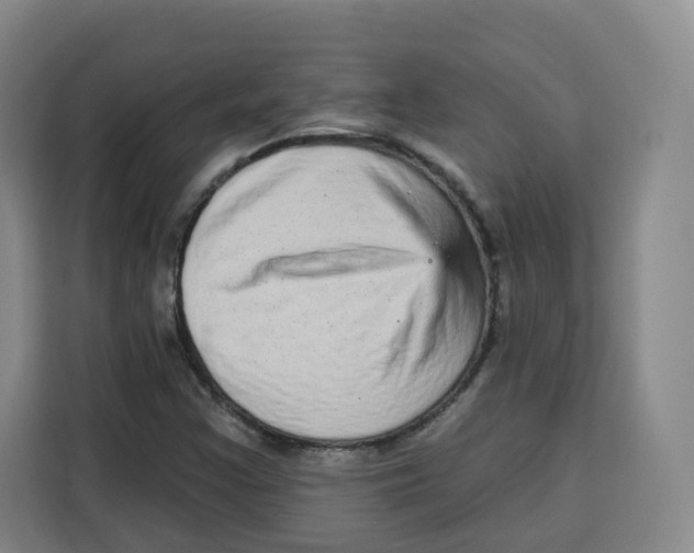 X0000115131355200911241437