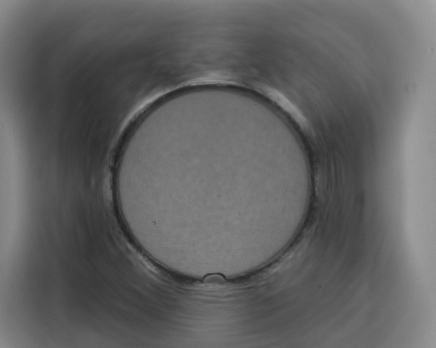 X0000115131356200911241437