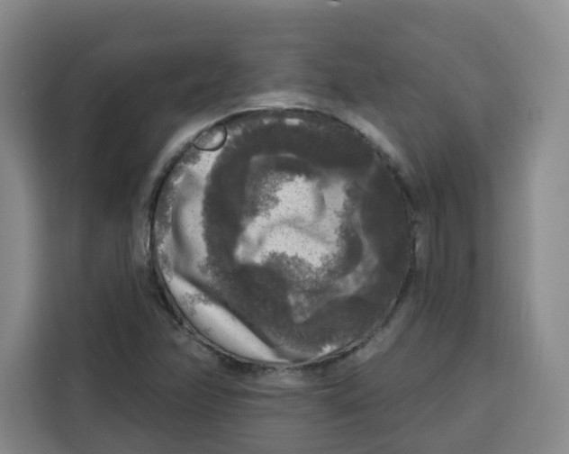X0000115131358200911241437