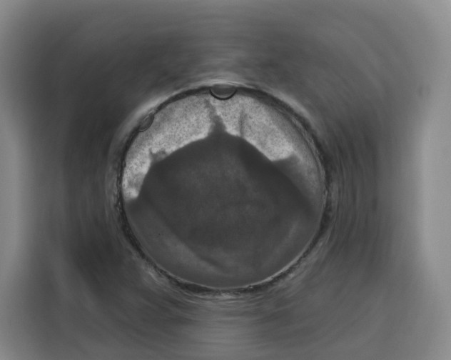 X0000115131359200911241437
