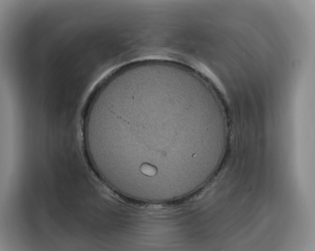X0000115131360200911241437