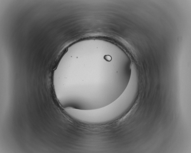 X0000115131361200911241437