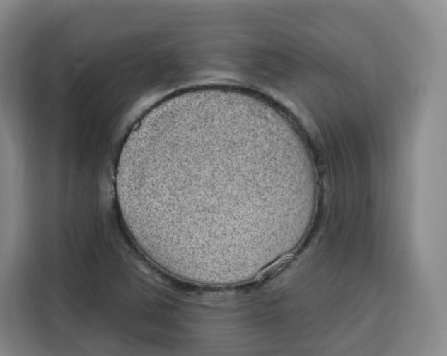 X0000115131363200911241437