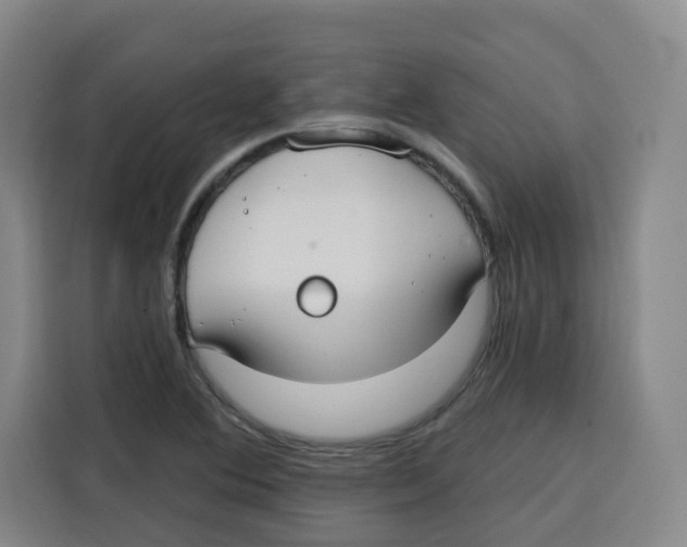 X0000115131364200911241437