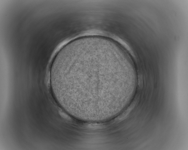 X0000115131366200911241437