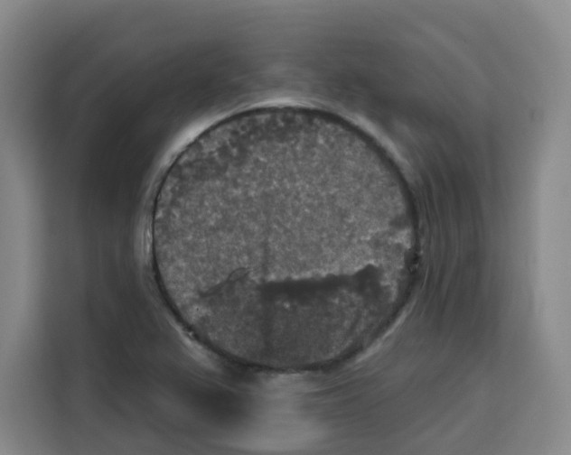X0000115131367200911241437