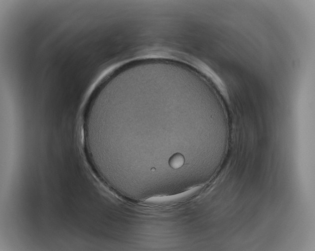 X0000115131368200911241437