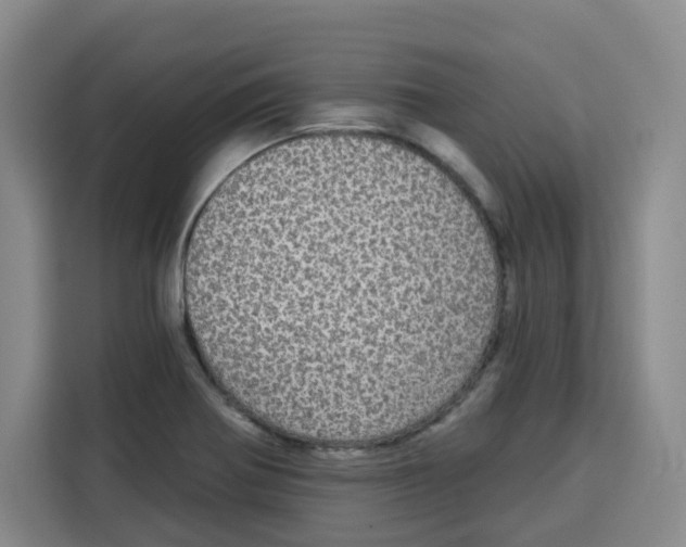 X0000115131370200911241437
