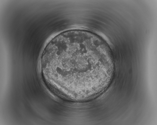 X0000115131371200911241437