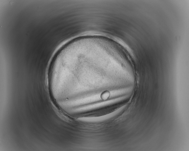 X0000115131372200911241437