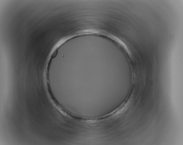 X0000115131373200911241437