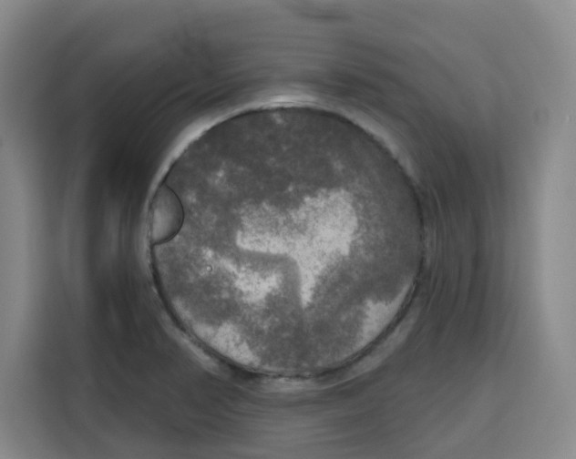X0000115131374200911241437