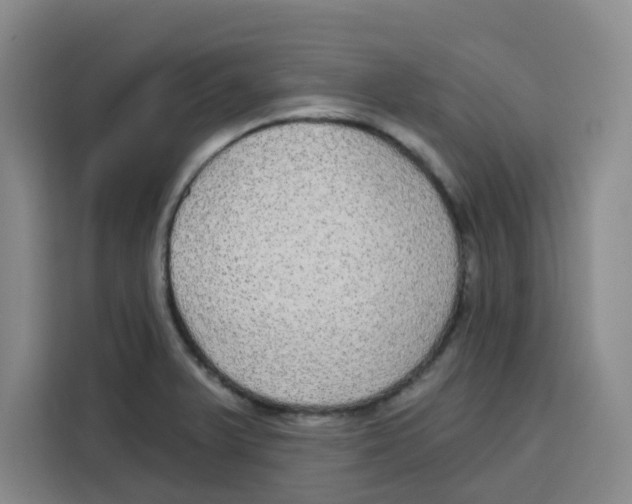 X0000115131375200911241437
