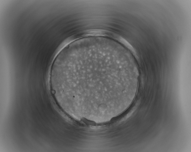 X0000115131378200911241437