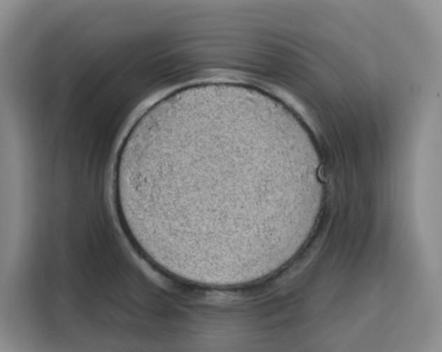 X0000115131379200911241437