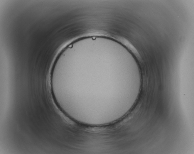X0000115131380200911241437