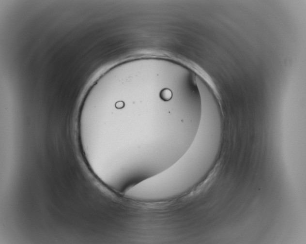 X0000115131381200911241437