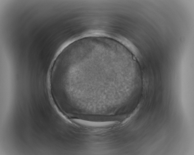 X0000115131382200911241437