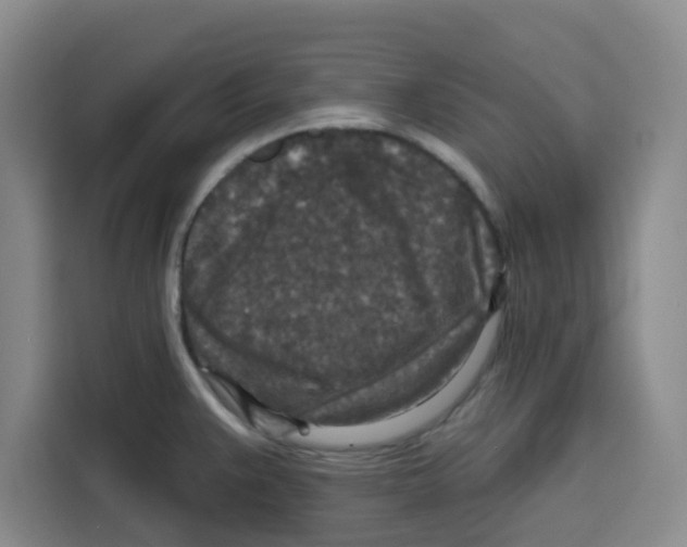 X0000115131383200911241437