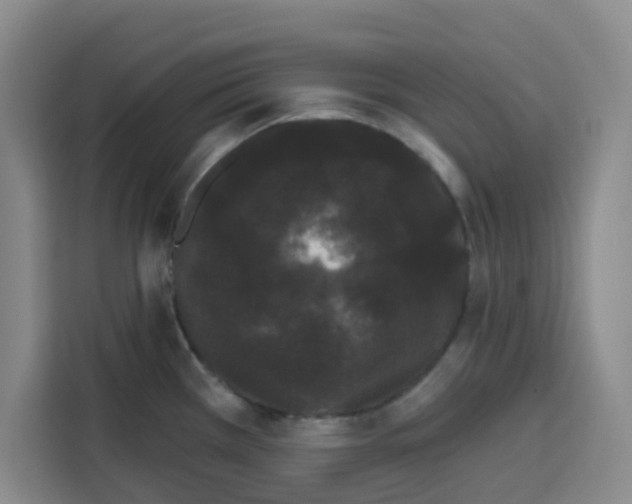 X0000115131385200911241437