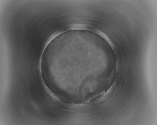 X0000115131386200911241437