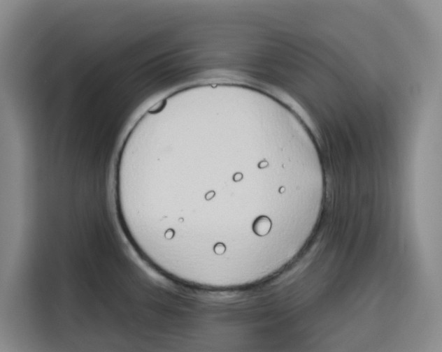 X0000115131387200911241437