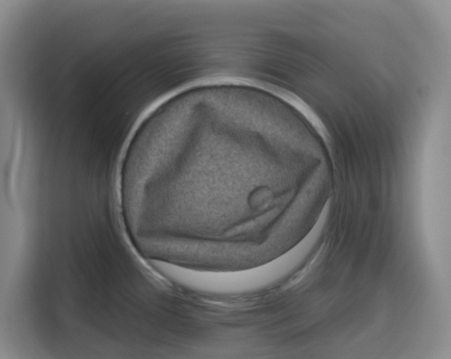 X0000115131388200911241437