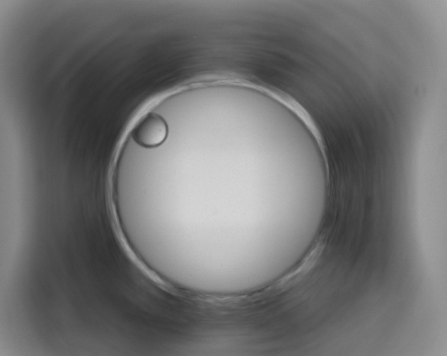 X0000115131389200911241437