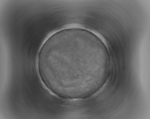 X0000115131390200911241437