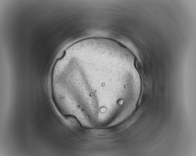 X0000115131391200911241437