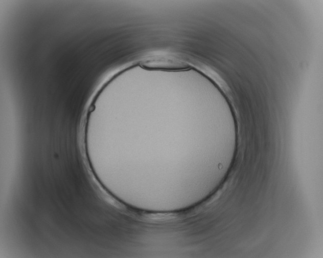 X0000115131392200911241437