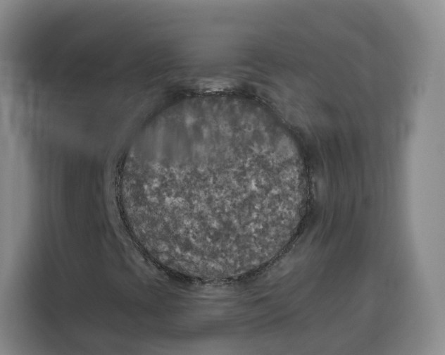 X0000115131393200911241436