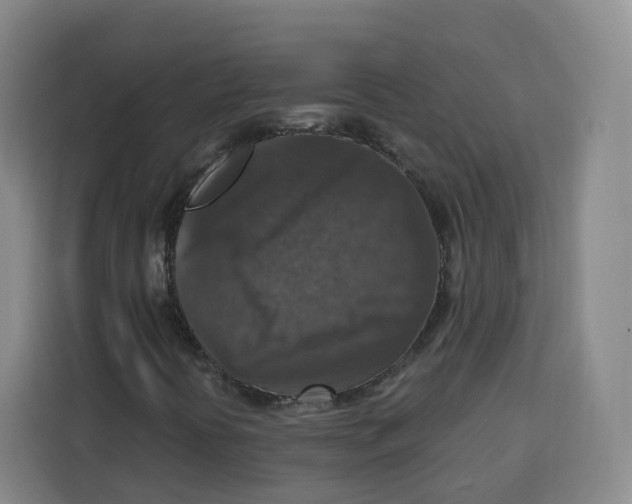 X0000115131394200911241436