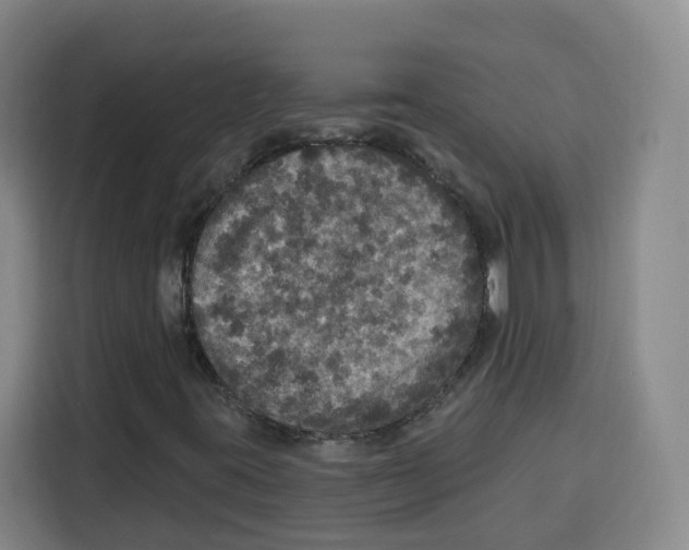 X0000115131395200911241436