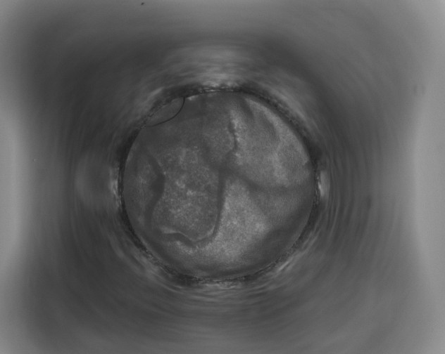 X0000115131396200911241436